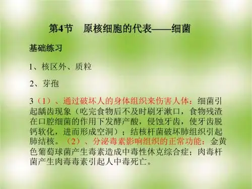 九年级生物细菌实验
