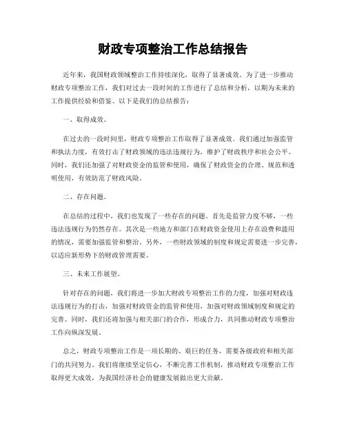 财政专项整治工作总结报告 2