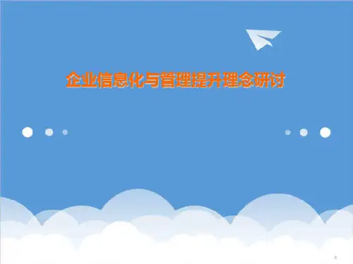企业理念-企业信息化与管理提升理念研讨 精品