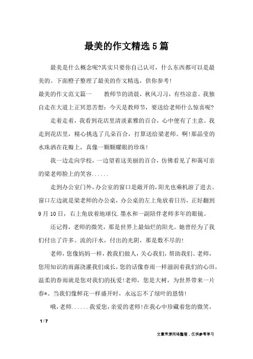 最美的作文精选5篇_高中作文