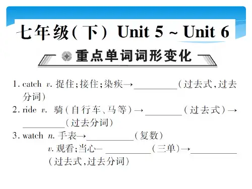 2018仁爱英语中考总复习七年级(下)unit5-6