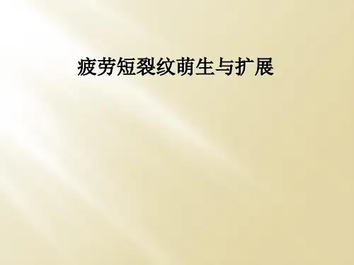 疲劳短裂纹萌生与扩展