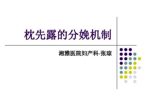 分娩机制00344讲解学习