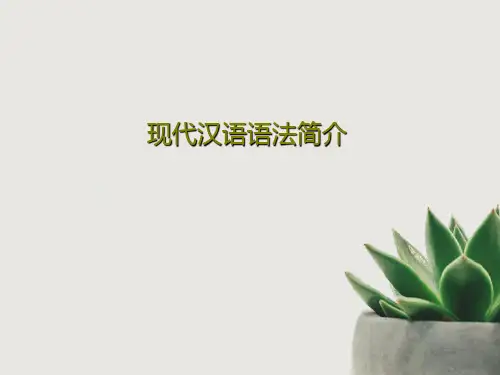现代汉语语法简介33页PPT
