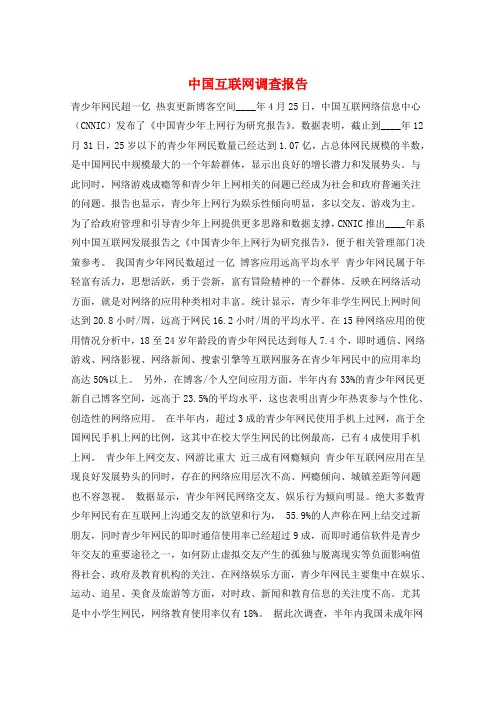 中国互联网调查报告