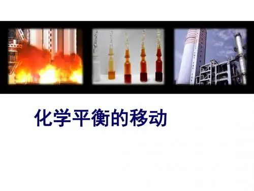 化学课件《化学平衡的移动》优秀ppt33 苏教版