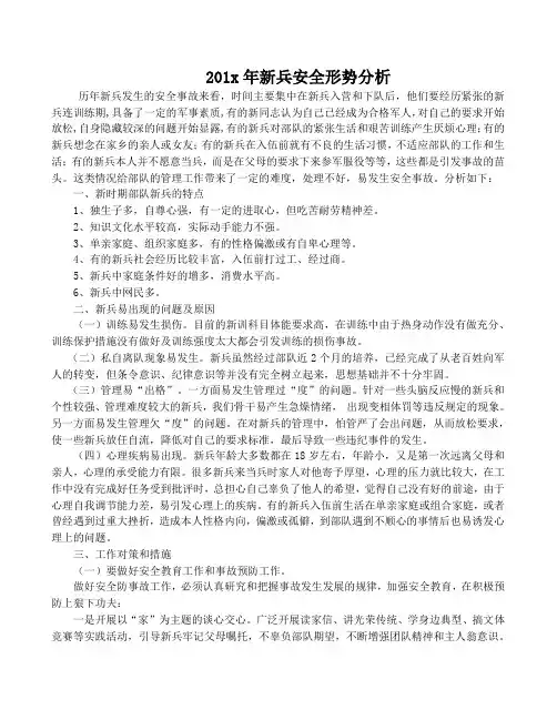 安全分析
