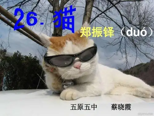 郑振铎_《猫》讲课