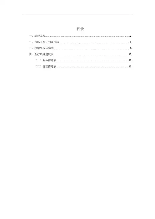 医疗项目运营方案
