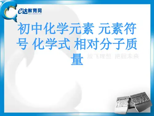 初中化学元素 元素符号 化学式 相对分子质量 ppt课件 (2)