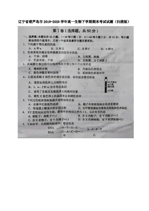 辽宁省葫芦岛市2019_2020学年高一生物下学期期末考试试题扫描版
