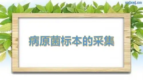 病原菌的采集分析