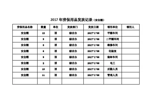 劳保用品发放记录 2