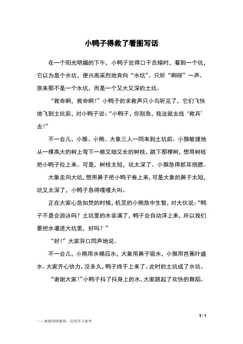小鸭子得救了看图写话_二年级作文_3