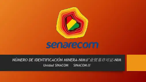 玻利维亚矿业贸易许可方面宣讲材料