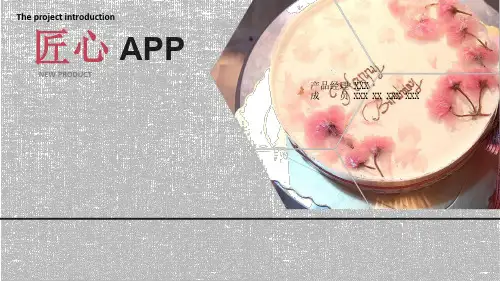 APP产品汇报