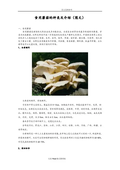 食用蘑菇的种类及图文介绍[附几种常见的食用菌的主要营养成分]