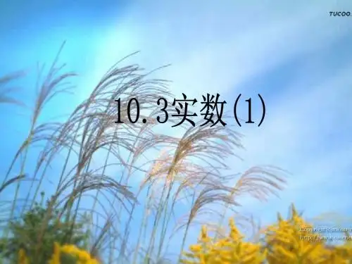 人教版初一数学实数2