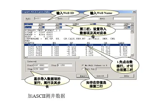 prizm测井讲义