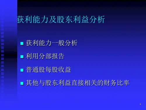 财务获利能力及股东利益分析