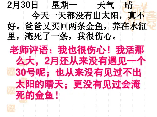 作文训练《说真话,抒真情》