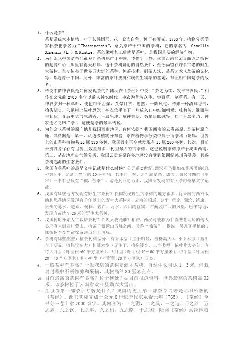 什么是茶