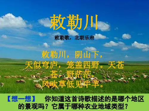 大牧场放牧业