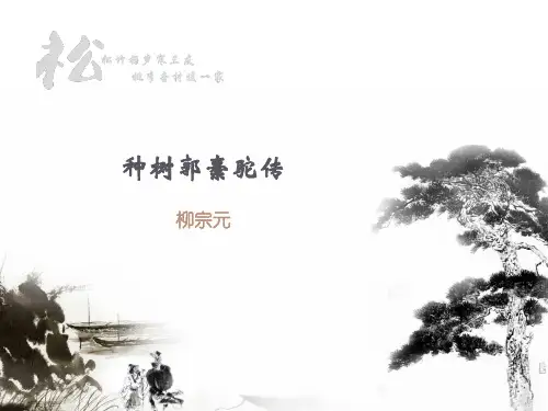 MISS徐：选修 柳宗元《种树郭橐驼传》PPT课件