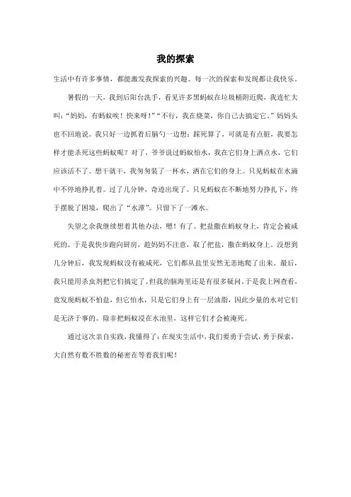 我的探索_小学四年级作文500字
