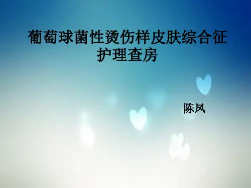 葡萄球菌性烫伤样皮肤综合症PPT课件