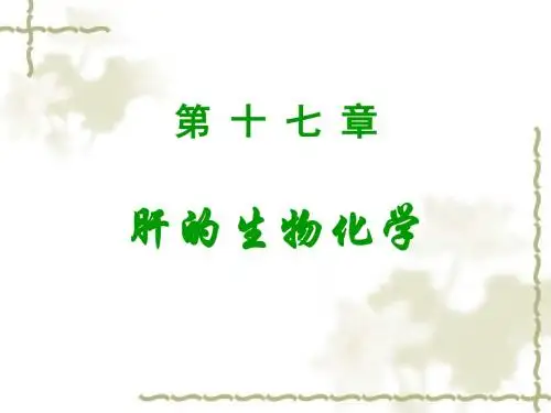 第17章 肝的生物化学 PPT课件