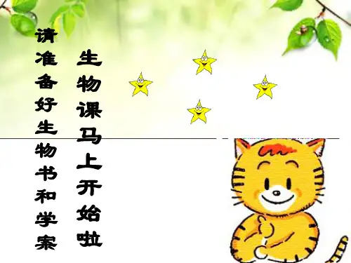开花和结果