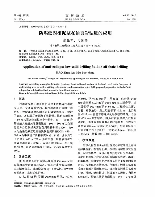 防塌低固相泥浆在油页岩钻进的应用