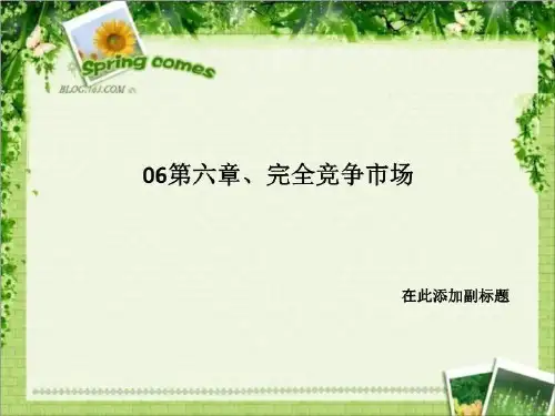 06第六章、完全竞争市场