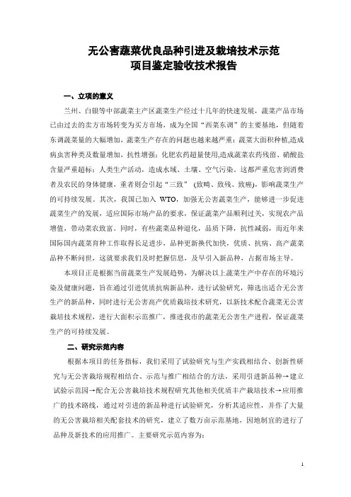 项目技术报告