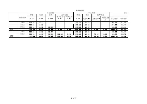 社保明细表