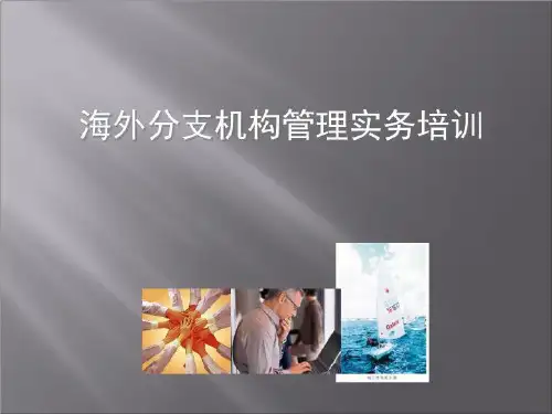 海外分支机构管理实务.ppt