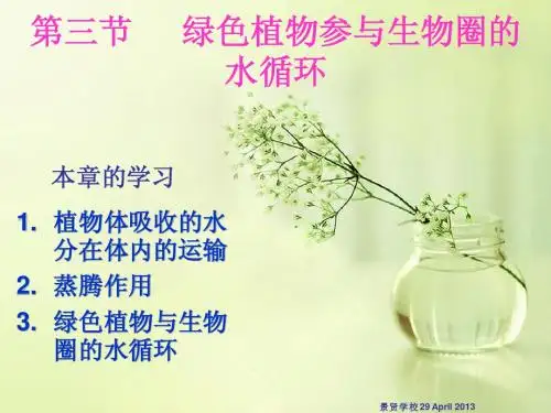 第三节   绿色植物参与生物圈的水循环
