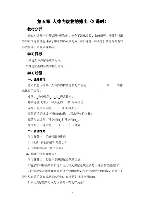 七年级生物下册第五章人体内废物的排出