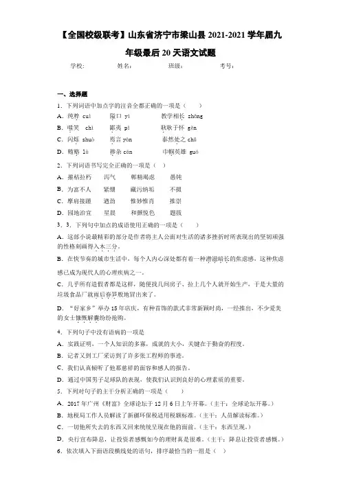 【全国校级联考】山东省济宁市梁山县2021届九年级最后20天语文试题