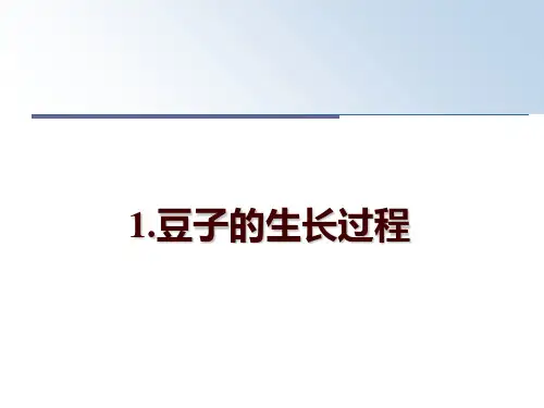 最新1.豆子的生长过程