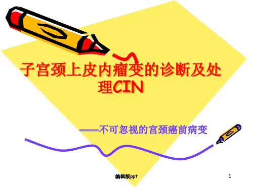 子宫颈上皮内瘤变讲课用