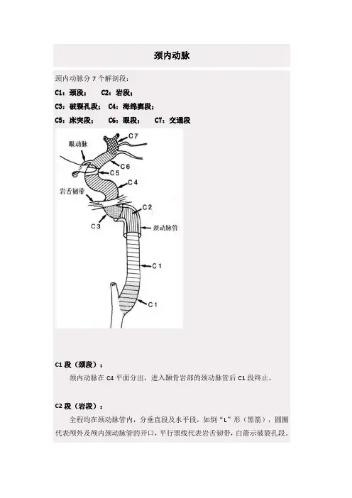 颈内动脉的分段