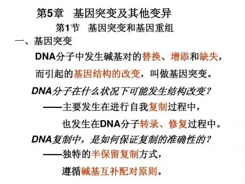 5 基因突变及其他变异