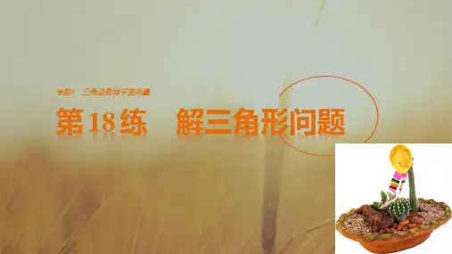 2018版高考数学江苏理考前三个月配套课件 专题4 三角函数与平面向量 第18练 精品