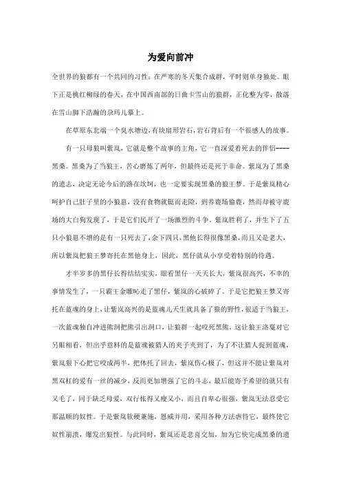 为爱向前冲_高中高一作文1300字