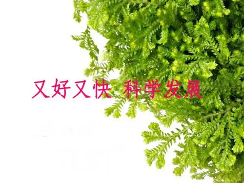 又好又快科学发展