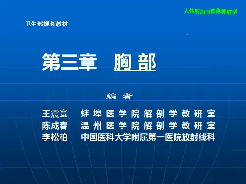 人体断面与影像解剖学胸部