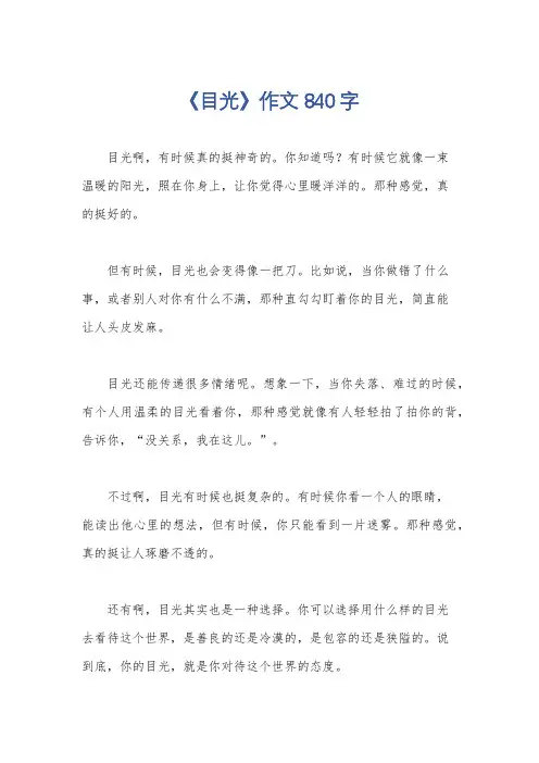 《目光》作文840字