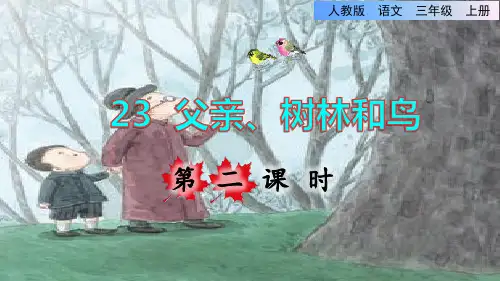 部编版三年级上册语文 第23课《父亲、树林和鸟》 第二课时  